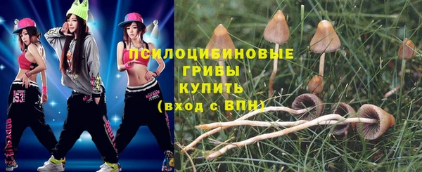 не бодяженный Надым