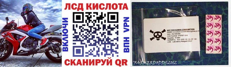 Купить  Теберда  Наркотические марки 1500мкг 