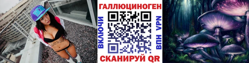 Купить закладки  Теберда  Галлюциногенные грибы Psilocybe 